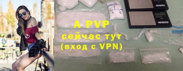 гашик Нефтекумск