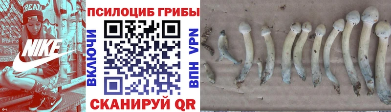 где купить наркоту  Верхнеуральск  Псилоцибиновые грибы Magic Shrooms 